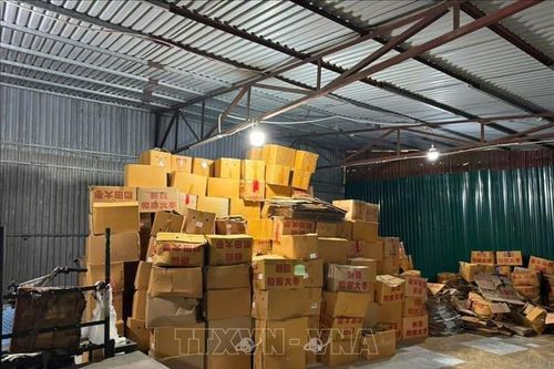 Thu giữ 4.300 kg táo đỏ không rõ nguồn gốc