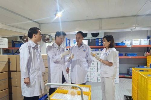 Vaccine dịch tả lợn châu Phi của Việt Nam được xuất khẩu sang Indonesia