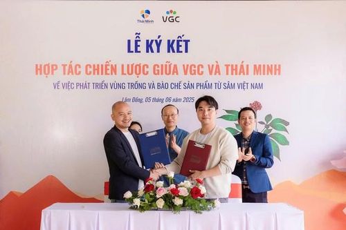 Sâm Thái Minh ký kết hợp tác chiến lược với VGC, bước tiến mới trong tiệm cận công nghệ trồng sâm Hàn Quốc