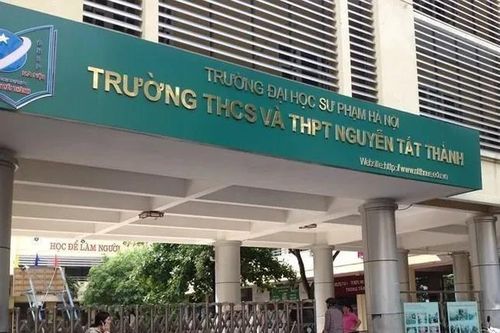 Trung bình 8 điểm/môn mới trúng tuyển vào lớp 6 THCS&THPT Nguyễn Tất Thành