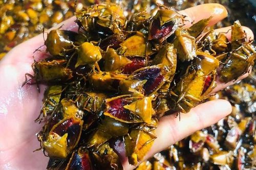 Đặc sản khiến nhiều người 'rùng mình', giá gần nửa triệu đồng/kg vẫn đắt hàng