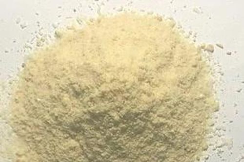 Trà hòa tan từ cây đinh lăng lá nhỏ