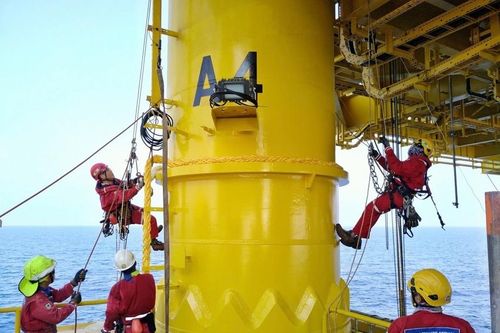 Đảng bộ PTSC: Kiến tạo giá trị, dẫn dắt chiến lược, hội nhập toàn cầu
