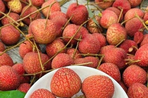 Xuất hiện loại vải VIP gây 'sốt' thị trường trái cây Việt, giá cao 'chót vót' vẫn được săn đón đến cháy hàng