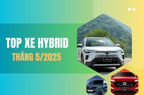 Top xe hybrid bán chạy tháng 5/2025