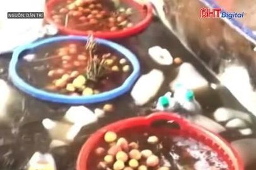 Sự thật đằng sau video 'ngâm vải trong thuốc' gây hoang mang