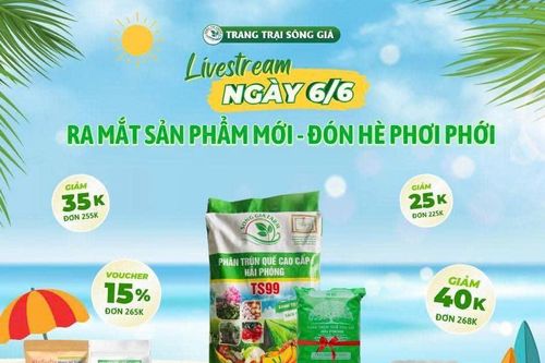 Chuyển đổi số: Cơ hội vàng để HTX Hải Phòng bứt phá