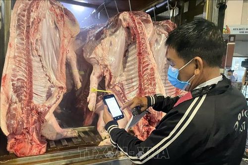 Kiểm soát chặt quy trình phân phối thịt lợn từ sản xuất tới thị trường