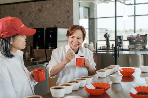 Tái định vị Robusta Việt: từ di sản bản địa đến chuẩn mực toàn cầu