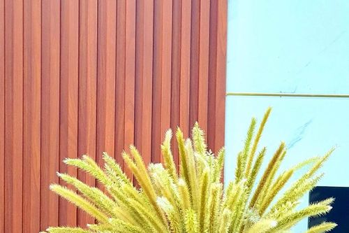 Cô giáo nổi tiếng khắp mạng xã hội nhờ thú chơi độc lạ