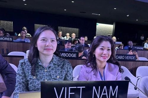 Việt Nam trúng cử thành viên Ủy ban liên chính phủ Công ước UNESCO 2005