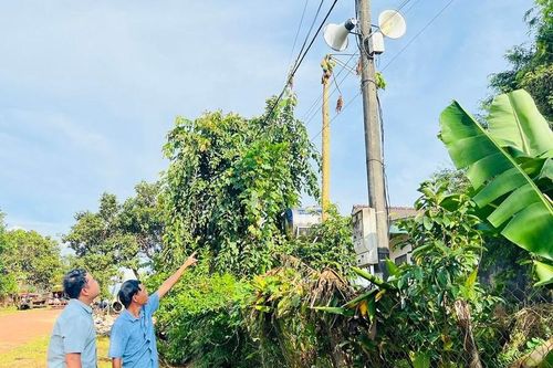 'Chìa khóa' giúp người dân thoát nghèo bền vững