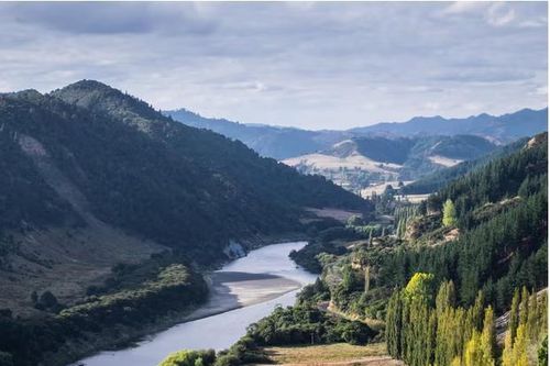 Người Mỹ giàu có đổ xô xin 'thị thực vàng' New Zealand