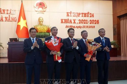 Chủ tịch UBND và Chủ tịch Ủy ban MTTQ Việt Nam thành phố Đà Nẵng xin nghỉ hưu trước tuổi