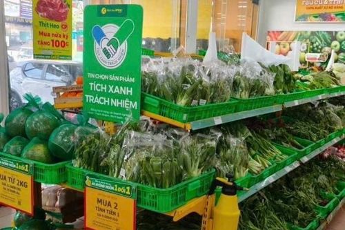 TP. Hồ Chí Minh: Cơ hội từ chuyển đổi xanh và trách nhiệm xã hội trong thương mại điện tử