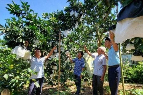 Quyết liệt xây dựng nông thôn mới