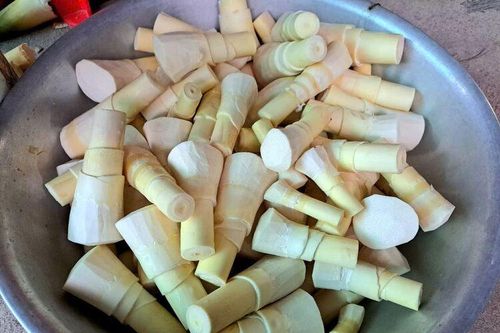 Vào mùa măng le xứ núi