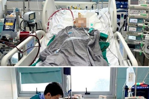 Bệnh nhân tỉnh dậy sau 2 tuần hôn mê sâu, cấp cứu tại 3 bệnh viện