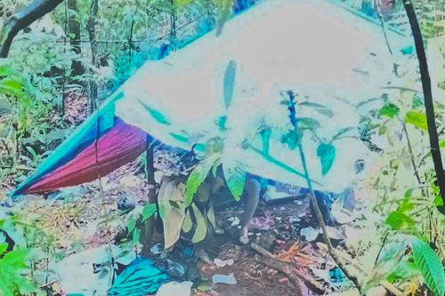 Phát hiện thi thể trong căn chòi giữa rừng sâu Lâm Đồng