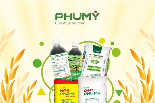 'Bộ ba vàng' của PVFCCo - Phú Mỹ: Giải pháp dinh dưỡng toàn diện