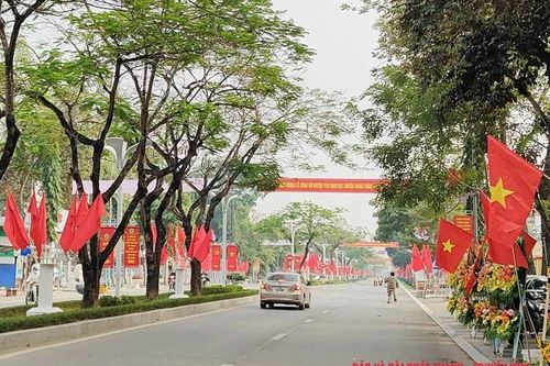 Tự hào những 'Đường cờ Tổ quốc'