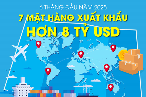 6 tháng đầu năm 2025: 7 nhóm mặt hàng xuất khẩu hơn 8 tỷ USD