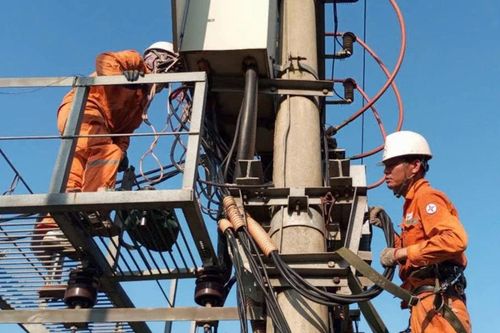 Căng mình dưới nắng nóng đảm bảo cấp điện phục vụ Nhân dân