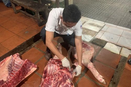 Kiểm tra đột xuất lò mổ, niêm phong 16 con lợn chờ xét nghiệm