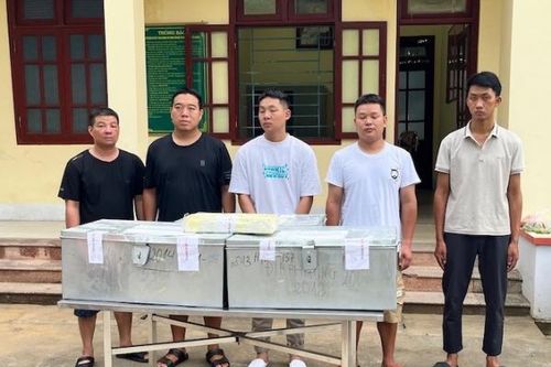Đội lốt doanh nghiệp vận chuyển 235 kg bạc tinh khiết, trị giá gần 7 tỷ đồng qua biên giới