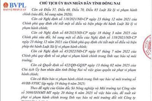 Công ty TNHH Thành Vinh bị xử phạt 445 triệu đồng