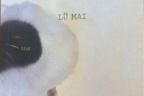 Lữ Mai đưa nhau về cũ