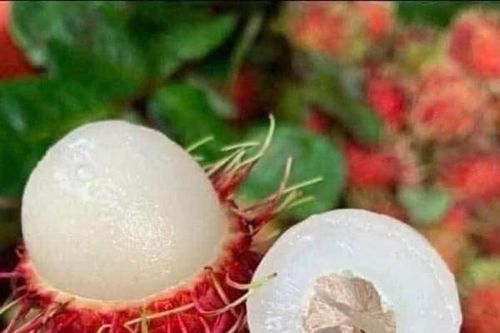 Nhiều trái cây giá giảm sâu