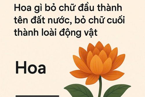 Hoa gì bỏ chữ đầu thành tên đất nước, bỏ chữ cuối thành tên loài động vật?
