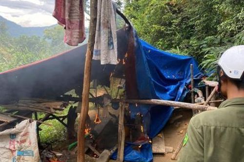 Truy quét 'vàng tặc'