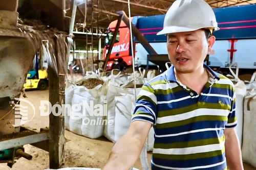 Biến 'rác tràm'… thành tiền