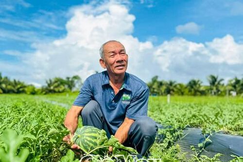 Mô hình tiền triệu giữa lòng đô thị hóa