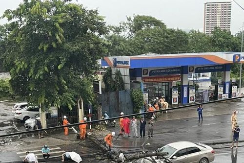 Thái Nguyên: Cây đổ đè trúng ô tô, nhiều tài sản hư hại sau cơn giông lốc chiều 19/7