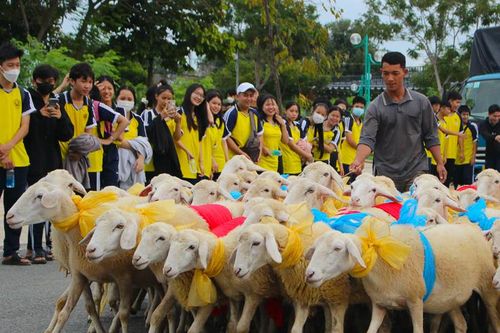 Phát triển chăn nuôi thích ứng biến đổi khí hậu, gắn với du lịch sinh thái