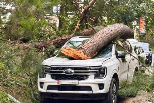 Lâm Đồng thiệt hại hàng tỷ đồng do bão số 3 gây ra