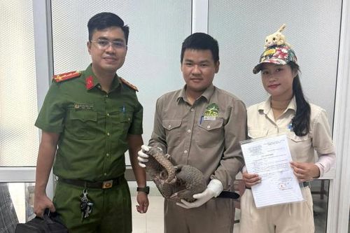 Phát hiện đường dây chuyên cung ứng động vật hoang dã cho nhà hàng
