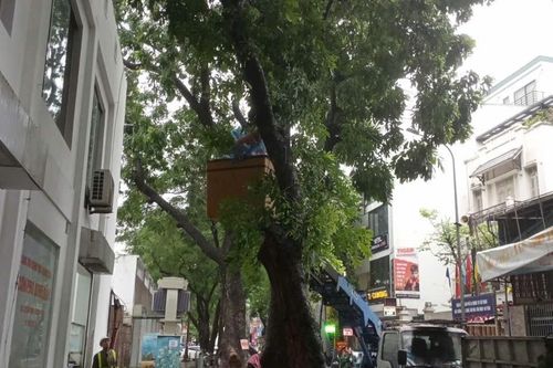Các phường Ba Đình, Ngọc Hà, Giảng Võ vận động người dân di chuyển tới nơi an toàn