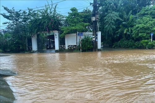 Nguy cơ cao ngập lụt hạ lưu sông Cả, vùng trũng thấp hạ lưu sông Thao