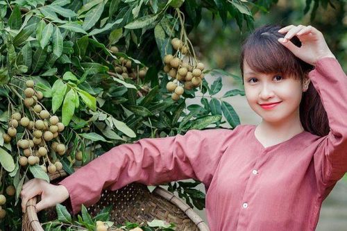 Chơi vơi mùa nhãn
