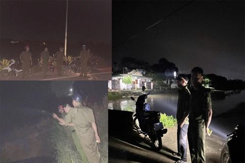 Chủ động phòng ngừa, ngăn chặn, xử lý hành vi xả xác động vật chết ra môi trường