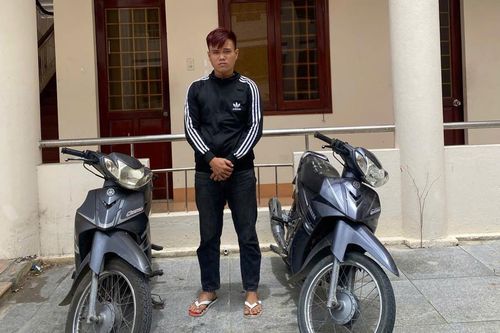 Xổng 'ngựa' khi đi thăm đồng