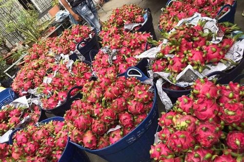 Cần minh bạch biện pháp SPS trong xuất khẩu thực phẩm