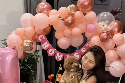 Tranh cãi chuyện cô gái Hà Nội chi 50 triệu đồng tổ chức sinh nhật cho chó