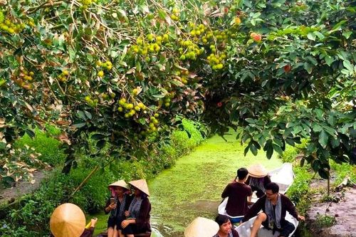 Về miền Tây mùa nước nổi, chọn tour nào để không 'hớ'?