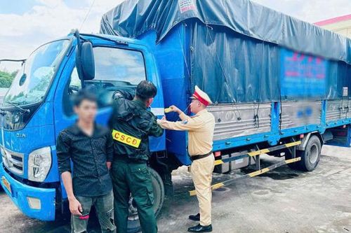 Tài xế 'phê' ma túy: Mối họa tiềm ẩn