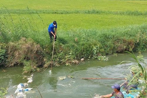 Quảng Trị: Hơn 50 xác heo chết bị vứt ra kênh, gây ô nhiễm nghiêm trọng